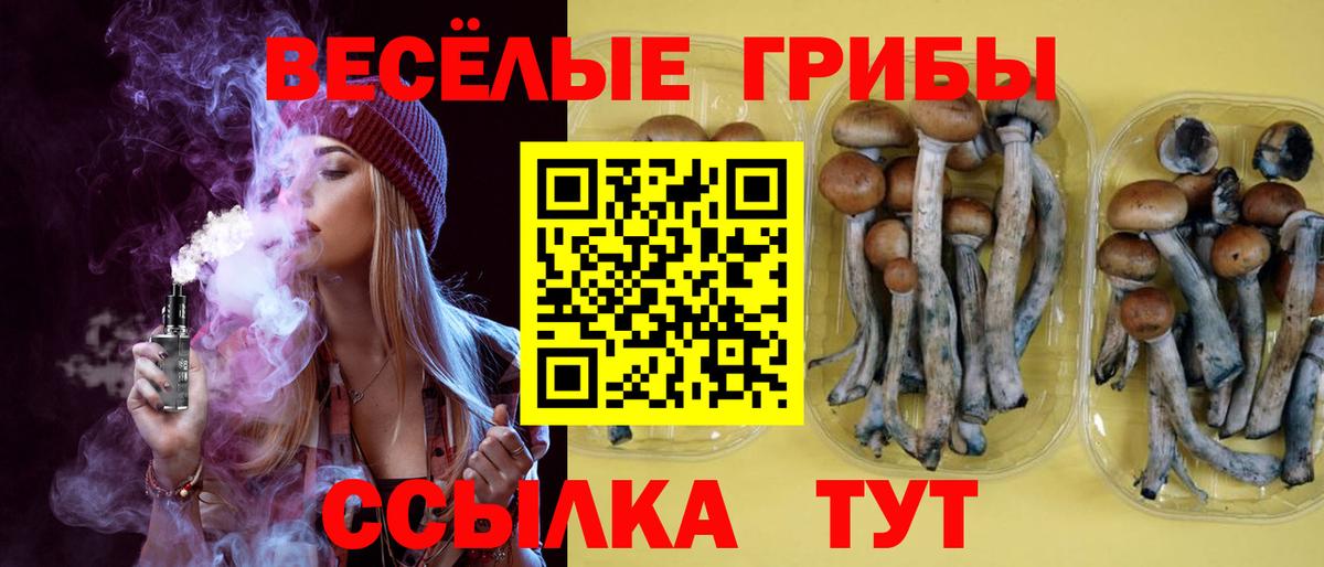Псилоцибиновые грибы ЛСД Бердск